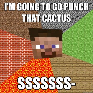 Minecraft