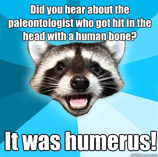 Lame Pun Coon