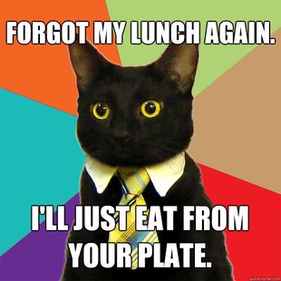 Business Cat
