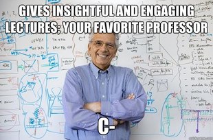 Engineering Professor