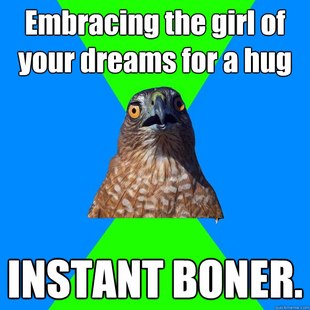 Hawkward