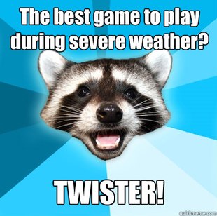 Lame Pun Coon