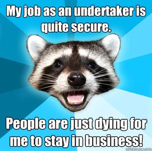 Lame Pun Coon