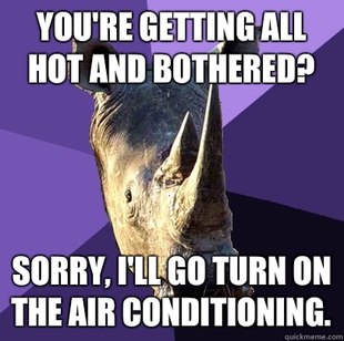 Sexually Oblivious Rhino