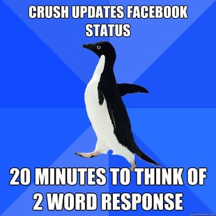 Socially Awkward Penguin
