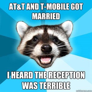 Lame Pun Coon