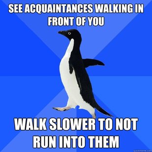 Socially Awkward Penguin