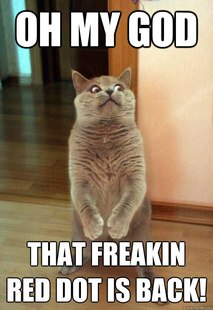 Horrorcat