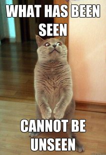 Horrorcat