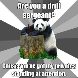 Pickup-Line Panda