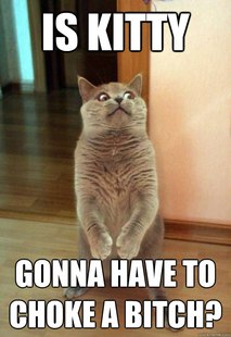Horrorcat