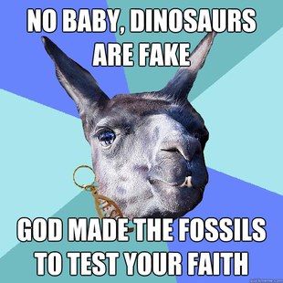 Christian Mama Llama