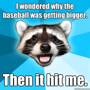 Lame Pun Coon