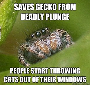 Misunderstood Spider