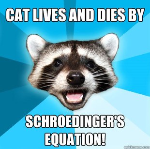 Lame Pun Coon
