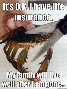 Optimistic Crab
