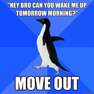 Socially Awkward Penguin