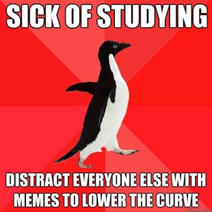 Socially Awesome Penguin
