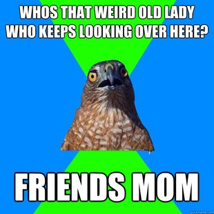 Hawkward