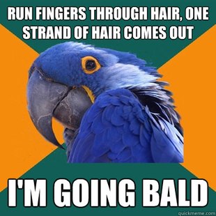 Paranoid Parrot
