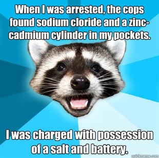 Lame Pun Coon