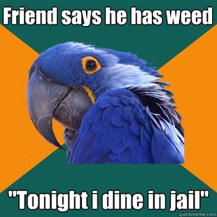 Paranoid Parrot