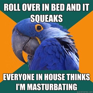 Paranoid Parrot