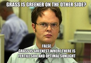 Schrute