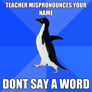 Socially Awkward Penguin