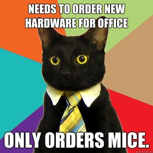 Business Cat