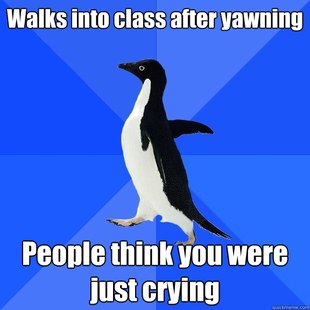 Socially Awkward Penguin