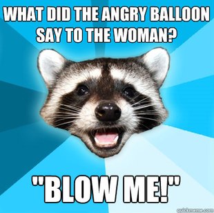 Lame Pun Coon