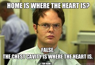 Schrute