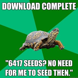 Torrenting Turtle