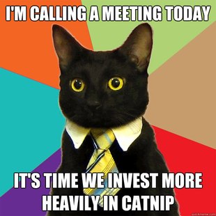Business Cat