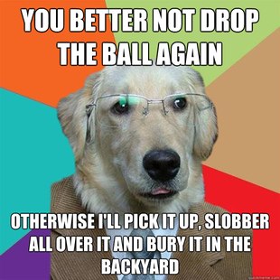 Business Dog