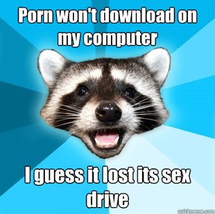 Lame Pun Coon