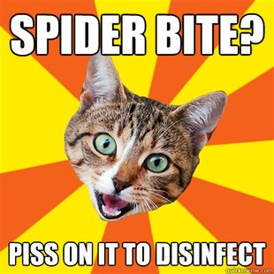 Bad Advice Cat