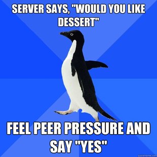 Socially Awkward Penguin
