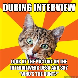 Bad Advice Cat