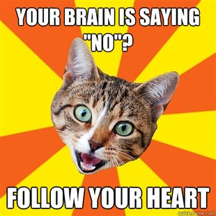 Bad Advice Cat
