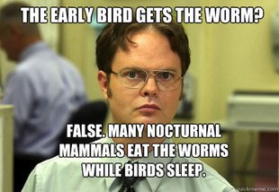 Schrute