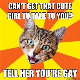 Bad Advice Cat