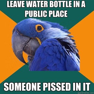Paranoid Parrot
