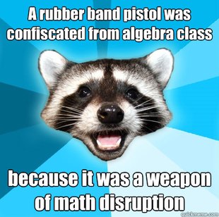 Lame Pun Coon