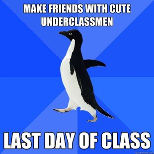 Socially Awkward Penguin