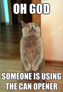 Horrorcat