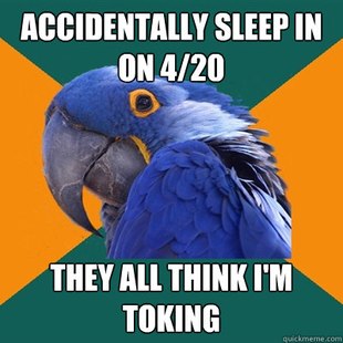 Paranoid Parrot