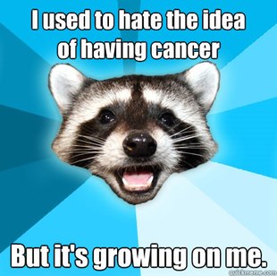 Lame Pun Coon