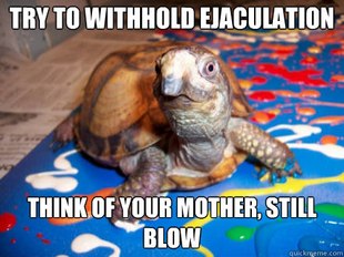 Sexually Awkward Turtle